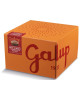 Galup - Panettone Mela e Cannella - 750g