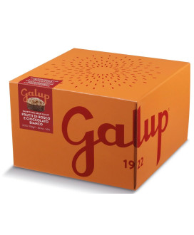 Galup - Panettone Apple and Cinnamon - 750g