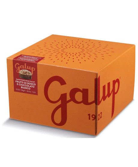 Galup - Panettone Mela e Cannella - 750g Galup - Panettone Mela e Cannella - 750g