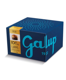 Galup - Panettone Paradiso - 750g