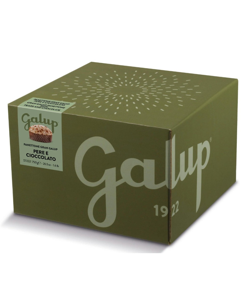 Galup - Panettone Amarene e Cioccolato - 750g