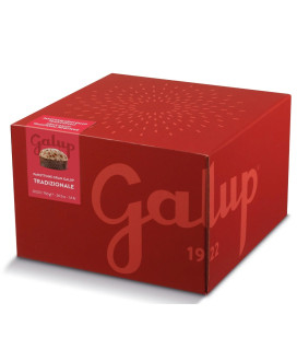 Galup - Panettone Milano - 750g