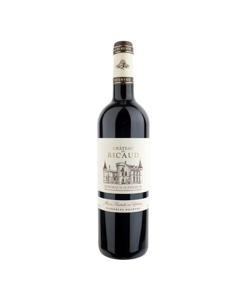 Château de Ricaud - Bordeaux Supérieur 2019 - 75cl