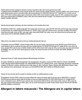 Filippi - Panettone al Gianduia con crema al gianduia da spalmare - 1000g 