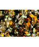 Venchi - Tartufino Nocciole Piemonte IGP - 1000g