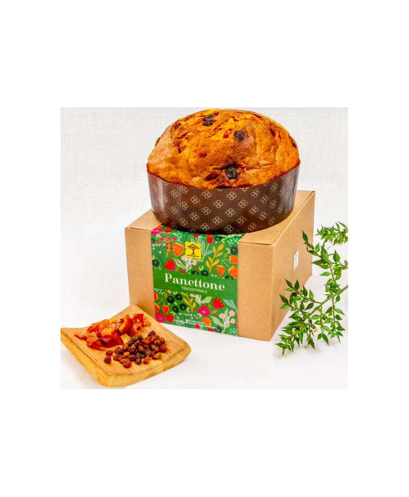 Vendita online Panettone Glassato San Patrignano. Shop on-line panettone artigianale della comunità di recupero San Patrignano. 