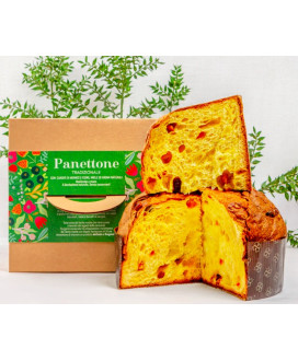 Vendita online Panettone Glassato San Patrignano. Shop on-line panettone artigianale della comunità di recupero San Patrignano. 