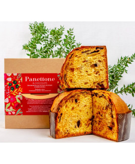 Vendita online Panettone al Cioccolato San Patrignano. Shop on-line panettone artigianale della comunità di San Patrignano