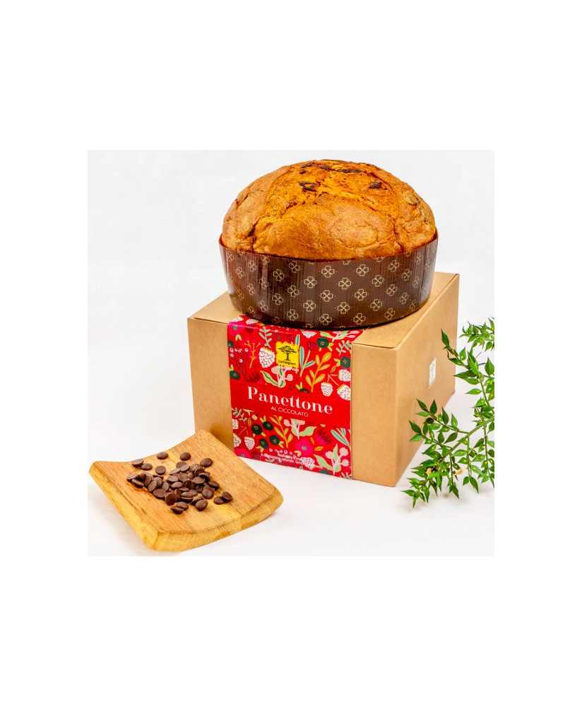 Vendita online Panettone al Cioccolato San Patrignano. Shop on-line panettone artigianale della comunità di San Patrignano