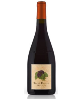 Pojer e Sandri - Pinot Nero Rodel Pianezzi 2019 - Vigneti delle Dolomiti IGT - 75cl