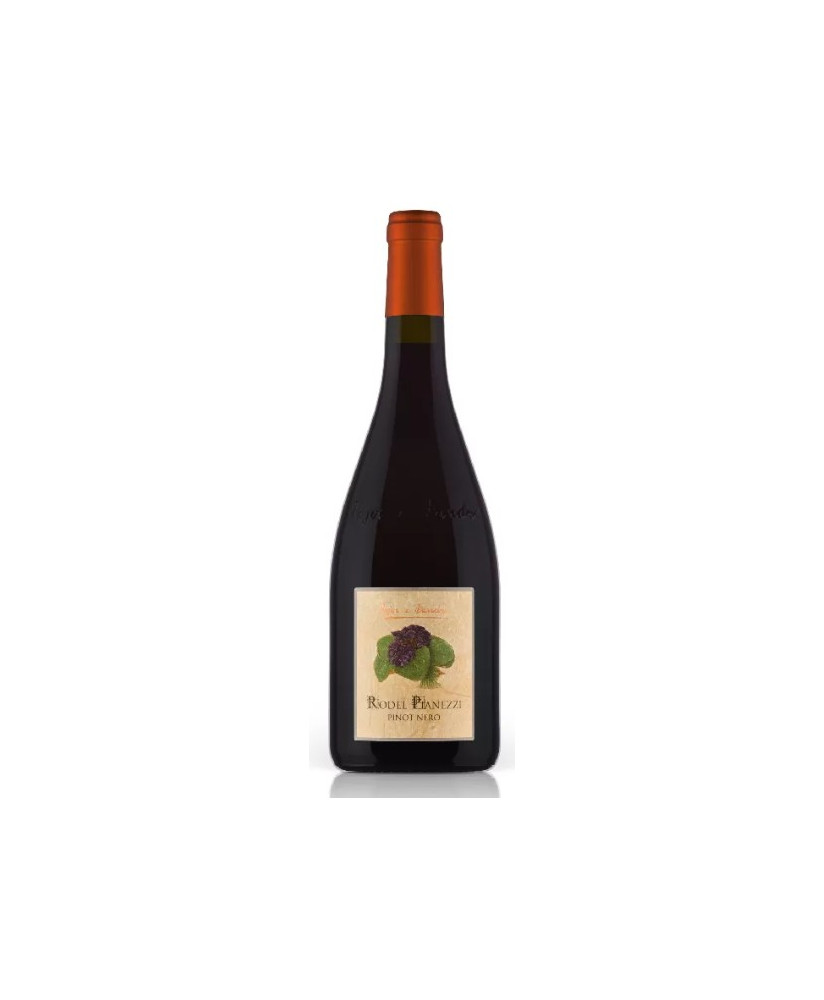 Pojer e Sandri - Pinot Nero Rodel Pianezzi 2019 - Vigneti delle Dolomiti IGT - 75cl