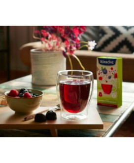 Caffè Borbone - 10 Capsules wild berry - Compatible with Nespresso domestic machines
