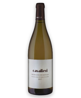 Cavalieri - Verdicchio di Matelica 2022 - DOC - 75cl