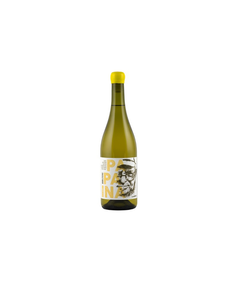 Cavalieri - Gegè - Verdicchio di Matelica 2020 - DOC - 75cl