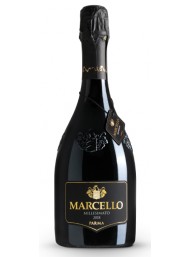 Ariola - Marcello - Gran Cru - Lambrusco IGP  - 75cl