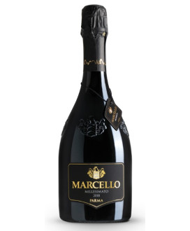 Ariola - Marcello - Gran Cru - Lambrusco IGP  - 75cl