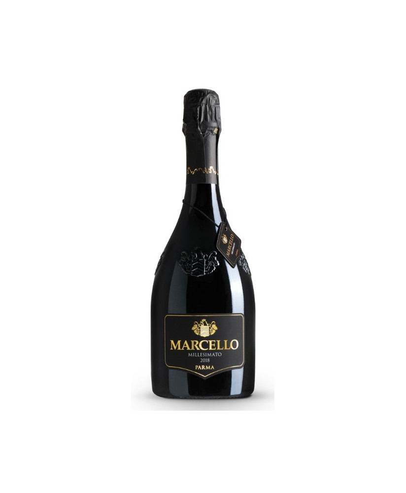 Ariola - Marcello - Gran Cru - Lambrusco IGP  - 75cl