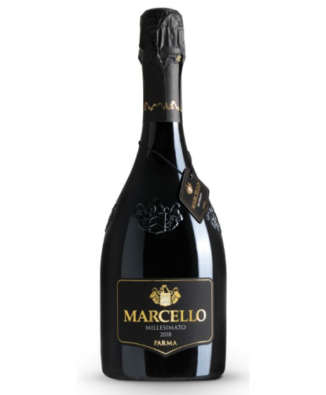 Ariola - Marcello - Millesimato Dry - Lambrusco IGP - 75cl