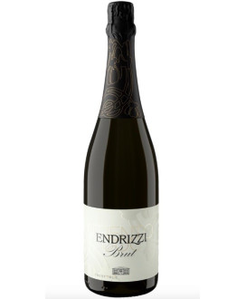 Endrizzi Trento Doc italian sparkling dry white wine online | Corso101