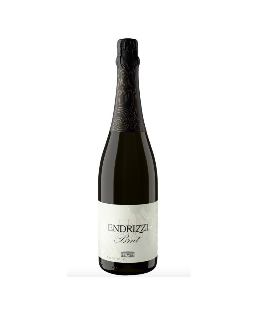 Endrizzi Trento Doc italian sparkling dry white wine online | Corso101
