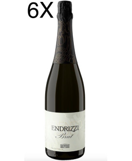 Endrizzi Trento Doc italian sparkling dry white wine online | Corso101
