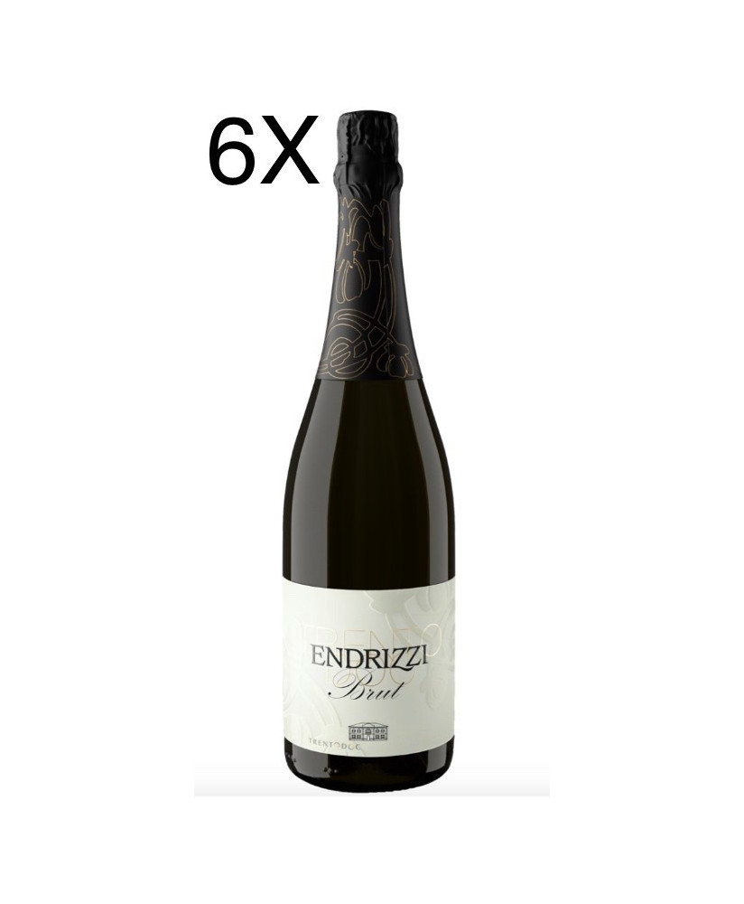 (6 BOTTIGLIE) Endrizzi - Brut - Trento DOC - 75cl