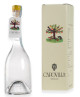 Capovilla - Distillato di Pere Buona Luisa - Gift Box - 50cl