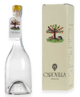 Capovilla - Distillato di Pere Buona Luisa - Astucciato - 50cl