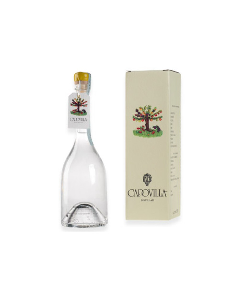 Capovilla - Distillato di Pere Buona Luisa - Astucciato - 50cl