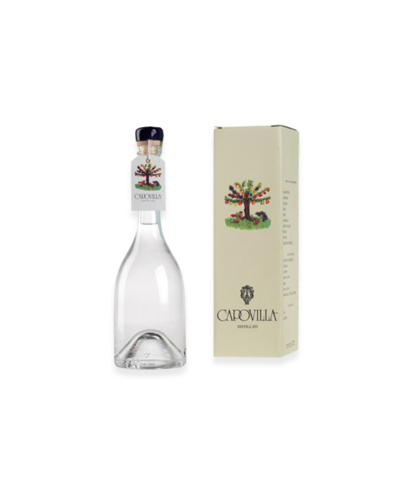 Capovilla - Distillato di More di Rovo - Astucciato - 50cl