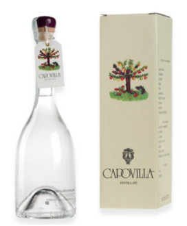 Capovilla - Distillato di Prugnolo Gentile - Astucciato - 50cl