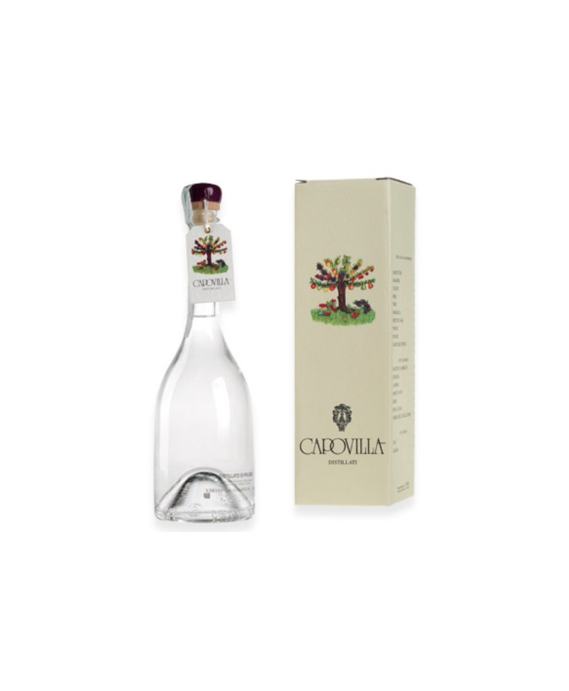 Capovilla - Distillato di Prugnolo Gentile - Astucciato - 50cl