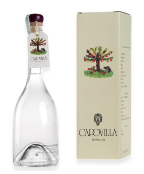 Capovilla - Distillate of Prugnolo Gentile - Gift Box - 50cl