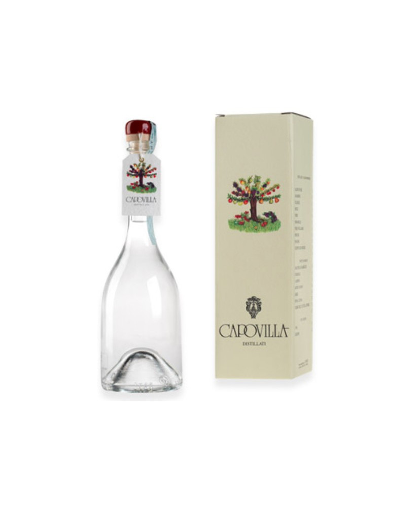 Capovilla - Distillato di Mele Decio di Belfiore - Astucciato - 50cl