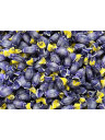 Pastiglie Leone - Sugar Free Blueberry Candies - 250g