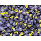 Pastiglie Leone - Sugar Free Blueberry Candies - 125g