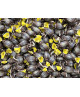 Pastiglie Leone - Sugar Free Cinnamon Candies - 250g