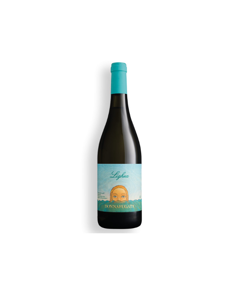 Donnafugata Zibibbo Lighea, vendita online e prezzi vini bianchi siciliani Donnafugata al miglior prezzo, shop on-line