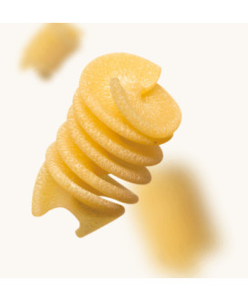 Vendita online Spiralotti Felicetti biologici di semola di grano Senatore Cappelli MONOGRANO trafilata al bronzo