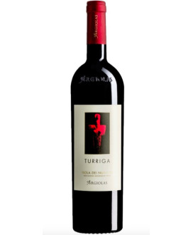 Argiolas - Turriga 2020 - Isola Dei Nuraghi IGT  - 75cl