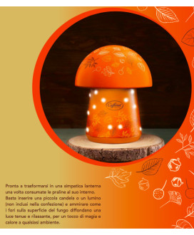 Italian chocolates Caffarel creamy filling. Shop online mushrooms made in Italy Chocolate. Buy online, price,