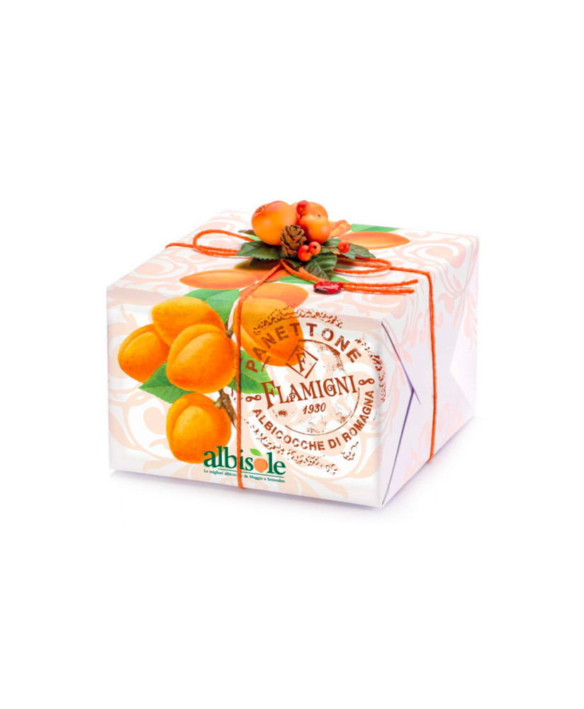 Flamigni - Panettone Albicocche "Albisole" - 1000g
