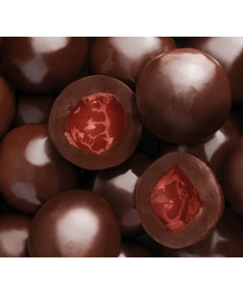 Pastiglie Leone - Latta Pan di Zenzero - Cri Cri - 60g
