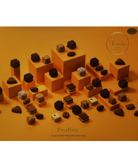 Venchi - 44 Assorted Chocolates - 480g
