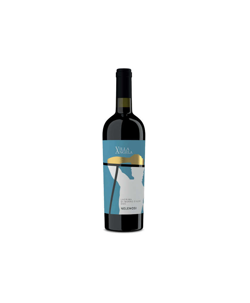 Lacrima di Morro Velenosi shop quality italian red wine | corso101.com