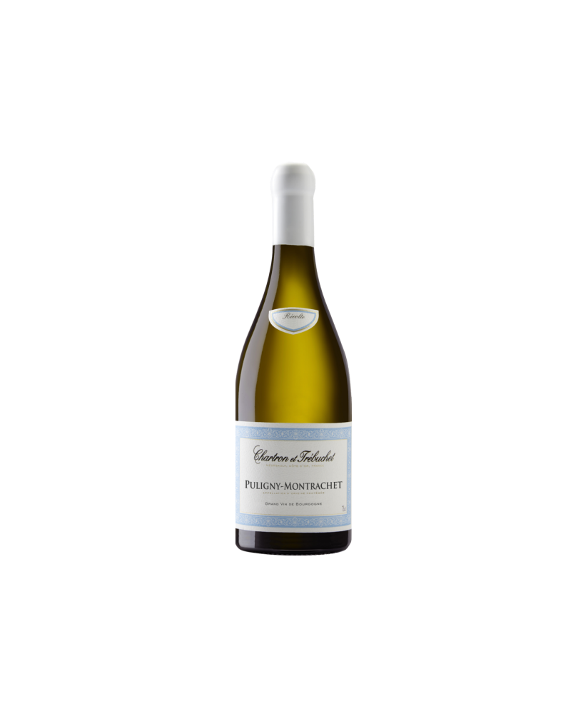 Chartron et Trebuchet - Puligny Montrachet 2022 - Bourgogne AOC - 75cl