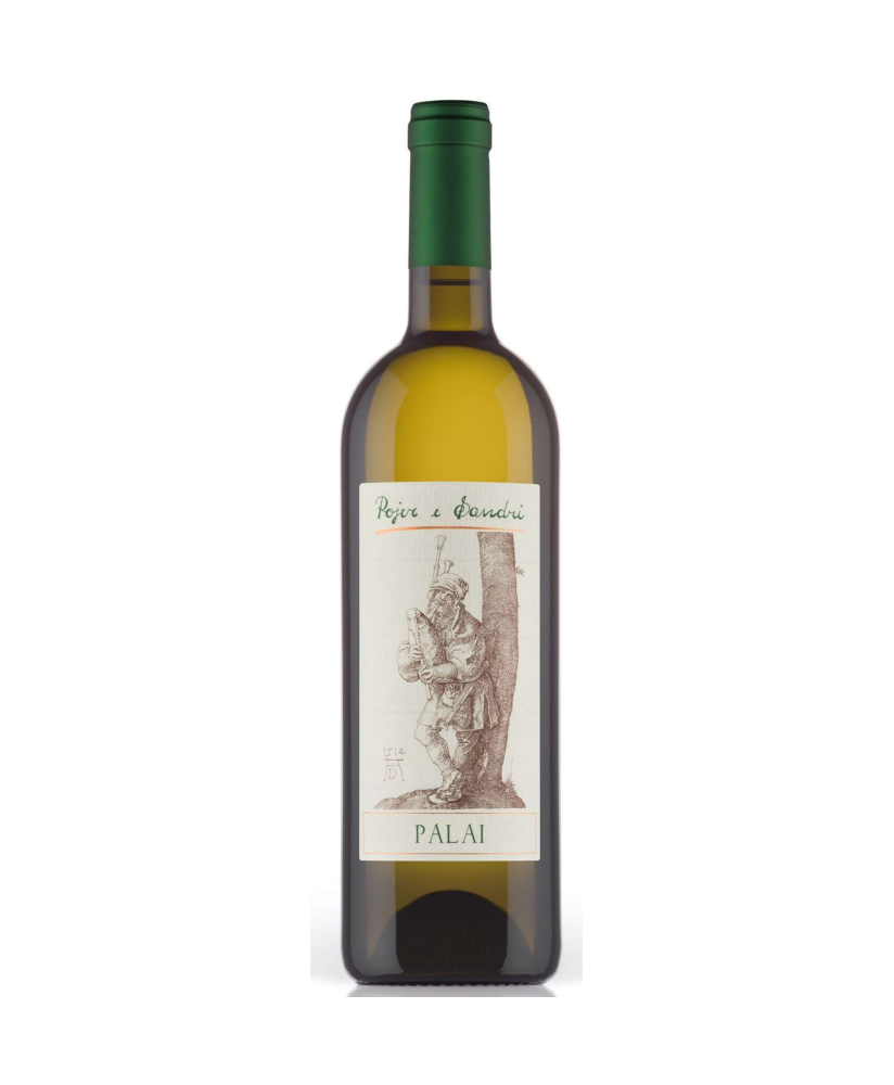 Pojer e Sandri Nosiola vino bianco dolomiti vendita online | corso101