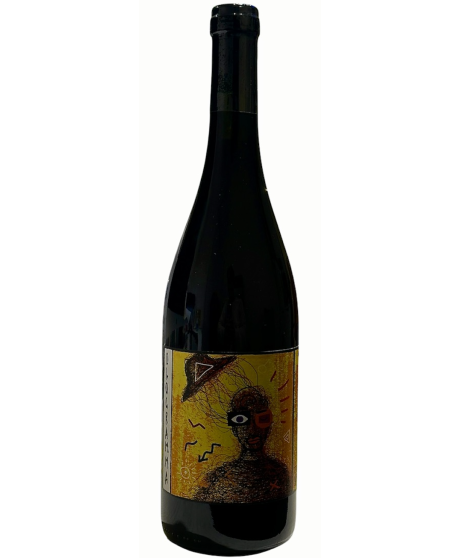 Alchimia Cantina Urbana - Ologramma 2022 - Vino Rosso - 75cl Alchimia Cantina Urbana - Ologramma 2022 - Vino Rosso - 75cl