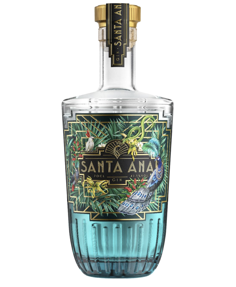Gin Santa Ana vendita online gin francese satana miglior prezzo online su corso101