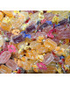 Caffarel - Gelatine Classiche : Formato - 250 grammi